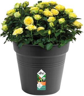 ELHO Bloempot Green Basics Kweekpot 40 Cm Living Black Elho Zwart