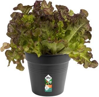 ELHO green basics kweekpot 15cm