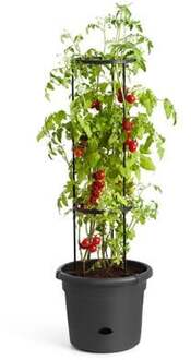 ELHO Green Basics Tomatenpot 33 cm Zwart