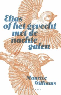 Elias of het gevecht met de nachtegalen - Maurice Gilliams - ebook
