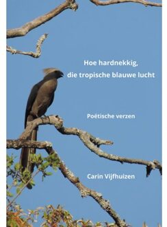 Elikser B.V. Uitgeverij Hoe Hardnekkig, Die Tropische Blauwe Lucht - Carin Vijfhuizen