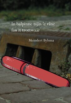 Elikser B.V. Uitgeverij In balpinne tsjin 'e râne fan it trottwaar - Meindert Bylsma - ebook