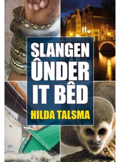 Elikser B.V. Uitgeverij Slangen ûnder it bêd - Boek Hilda Talsma (9089549625)