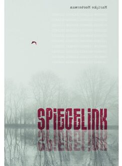 Elikser B.V. Uitgeverij Spiegelink