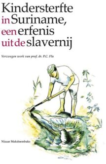 Elikser B.V. Uitgeverij Verzwegen werk van P.C. Flu - Boek Nizaar Makdoembaks (9076286191)