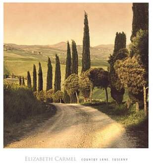 Elisabeth Carmel - Country Lane, Tuscany Kunstdruk 45x50cm