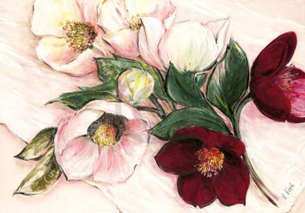 Elisabeth Krobs - Elegant Anemones Kunstdruk 100x70cm