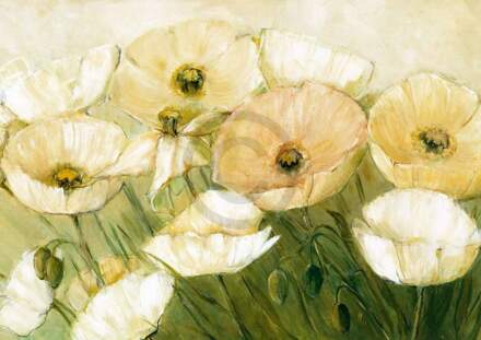 Elisabeth Krobs - Tender Poppies Kunstdruk 29.7x21cm