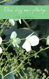 Elke dag een pilletje - Boek Irika Van Gorkum (940217320X)