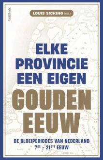 Elke provincie een eigen Gouden Eeuw -  Louis Sicking (ISBN: 9789044653069)