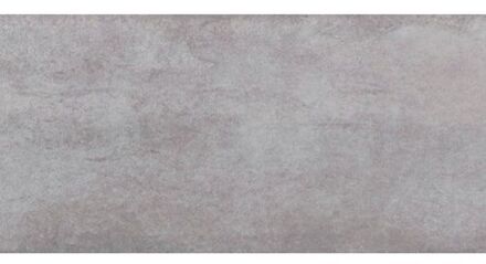 Elle-gi Tegel roberto gris 35.5x71cm Grijs