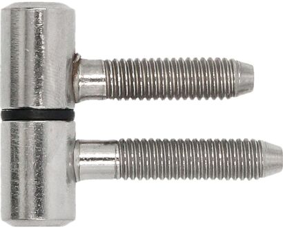 ELLE Meubelinboorpaumelle - Rvs - 38 Mm - Ø 13 Mm - 2 Stuks