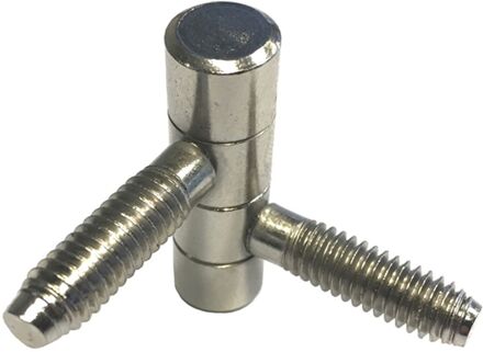 ELLE Meubelinboorpaumelle - Vernikkeld Staal - 35 Mm - Ø 11 Mm - 2 Stuks