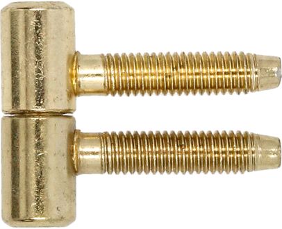 ELLE Meubelpaumelle - Verzinkt Staal - 38 Mm - Ø 13 Mm - 2 Stuks