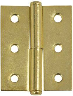 ELLE Meubelpaumelle Voor Linksdraaiende Kastdeur - Vermessingd Staal - 50x40 Mm - 2 Stuks