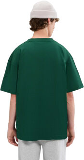 ELLESSE Heren Suisio T-shirt (Donkergroen) - M