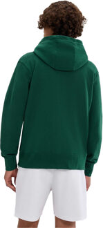 ELLESSE Heren Taurasi Volledige Rits Hoodie (Donkergroen) - maat