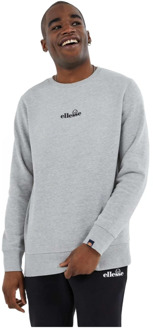 ELLESSE Kiamto Hoodie Ellesse , Gray , Heren - L,M,S