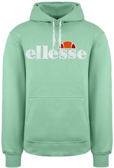 ELLESSE Noldor Heren Groene Hoodie