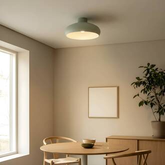 Elover plafondlamp, lichtgroen, Ø 45 cm, ijzer