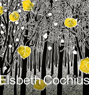 Elsbeth Cochius -  Josien Beltman (ISBN: 9789462626126)