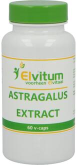 Elvital Astragalus Extract