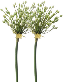 Emerald Allium/Sierui kunstbloem - 2x - losse steel - creme - 70 cm - Natuurlijke uitstraling