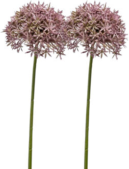 Emerald Allium/Sierui kunstbloem - 2x - losse steel - lila - 62 cm - Natuurlijke uitstraling