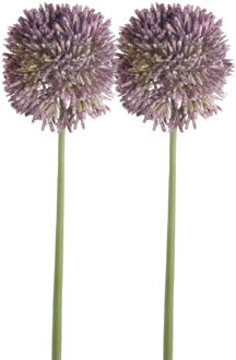 Emerald Allium/Sierui kunstbloem - 2x - losse steel - lila paars - 65 cm - Natuurlijke uitstraling - Kunstbloemen