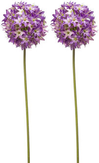 Emerald Allium/Sierui kunstbloem - 2x - losse steel - paars - 60 cm - Natuurlijke uitstraling