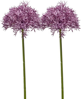 Emerald Allium/Sierui kunstbloem - 2x - losse steel - paars - 62 cm - Natuurlijke uitstraling