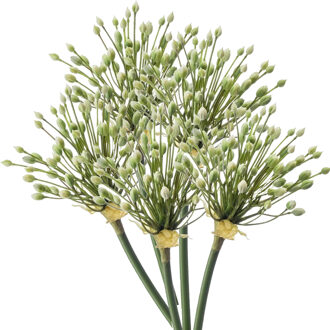 Emerald Allium/Sierui kunstbloem - 5x - losse steel - creme - 70 cm - Natuurlijke uitstraling