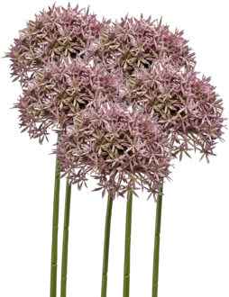 Emerald Allium/Sierui kunstbloem - 5x - losse steel - lila - 62 cm - Natuurlijke uitstraling