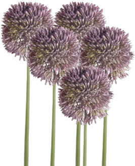 Emerald Allium/Sierui kunstbloem - 5x - losse steel - lila paars - 65 cm - Natuurlijke uitstraling