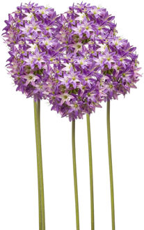 Emerald Allium/Sierui kunstbloem - 5x - losse steel - paars - 60 cm - Natuurlijke uitstraling