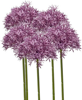 Emerald Allium/Sierui kunstbloem - 5x - losse steel - paars - 62 cm - Natuurlijke uitstraling