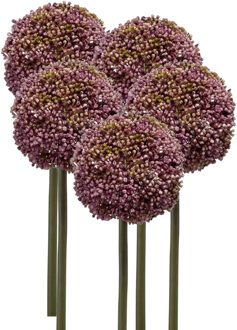Emerald Allium/Sierui kunstbloem - 5x - losse steel - paars - 75 cm - Natuurlijke uitstraling