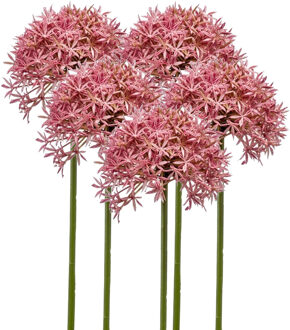 Emerald Allium/Sierui kunstbloem - 5x - losse steel - roze - 62 cm - Natuurlijke uitstraling