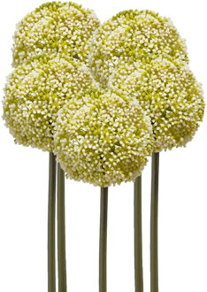 Emerald Allium/Sierui kunstbloem - 5x - losse steel - wit/groen - 75 cm - Natuurlijke uitstraling
