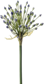 Emerald Allium/Sierui kunstbloem - losse steel - blauw - 70 cm - Natuurlijke uitstraling