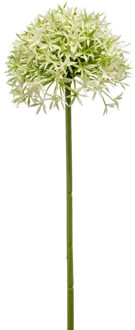Emerald Allium/Sierui kunstbloem - losse steel - creme/groen - 62 cm - Natuurlijke uitstraling