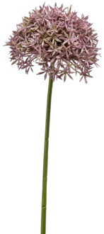 Emerald Allium/Sierui kunstbloem - losse steel - lila - 62 cm - Natuurlijke uitstraling - Kunstbloemen Paars