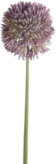 Emerald Allium/Sierui kunstbloem - losse steel - lila paars - 65 cm - Natuurlijke uitstraling