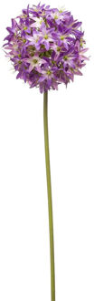 Emerald Allium/Sierui kunstbloem - losse steel - paars - 60 cm - Natuurlijke uitstraling
