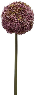 Emerald Allium/Sierui kunstbloem - losse steel - paars - 75 cm - Natuurlijke uitstraling