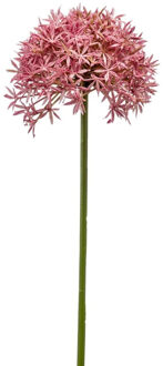 Emerald Allium/Sierui kunstbloem - losse steel - roze - 62 cm - Natuurlijke uitstraling - Kunstbloemen