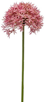 Emerald Allium/Sierui kunstbloem - losse steel - roze - 62 cm - Natuurlijke uitstraling