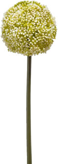 Emerald Allium/Sierui kunstbloem - losse steel - wit/groen - 75 cm - Natuurlijke uitstraling