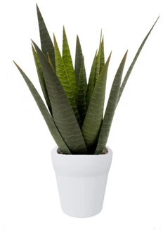 Emerald Aloe Vera kunstplant 35 cm met pot - Kunstplanten Wit