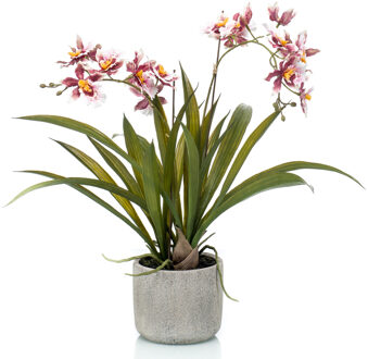 Emerald Bordeaux rode orchidee kunstplant in keramische pot 45 cm - Kunstplanten Rood